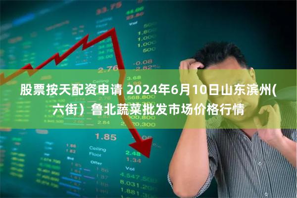股票按天配资申请 2024年6月10日山东滨州(六街)鲁北蔬菜批发市场价格行情