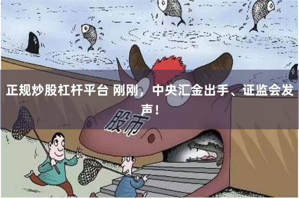 正规炒股杠杆平台 刚刚，中央汇金出手、证监会发声！