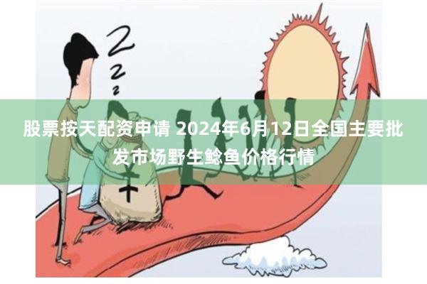 股票按天配资申请 2024年6月12日全国主要批发市场野生鲶鱼价格行情