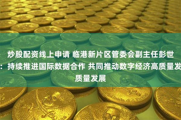 炒股配资线上申请 临港新片区管委会副主任彭世权：持续推进国际数据合作 共同推动数字经济高质量发展