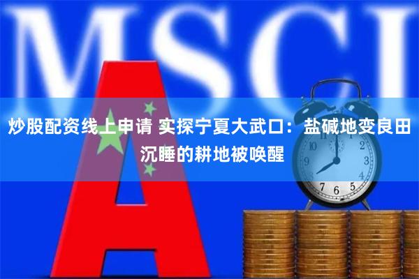 炒股配资线上申请 实探宁夏大武口：盐碱地变良田 沉睡的耕地被唤醒
