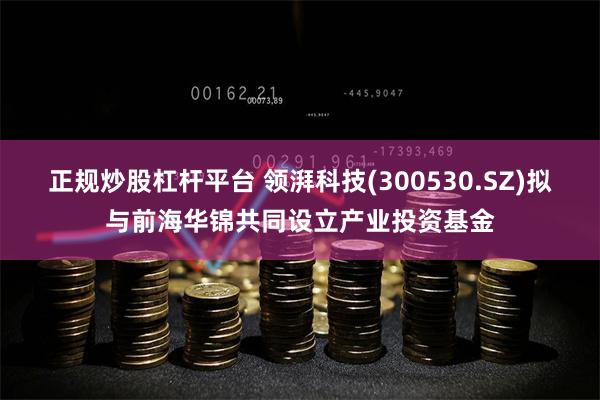 正规炒股杠杆平台 领湃科技(300530.SZ)拟与前海华锦共同设立产业投资基金
