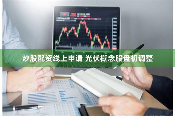 炒股配资线上申请 光伏概念股盘初调整