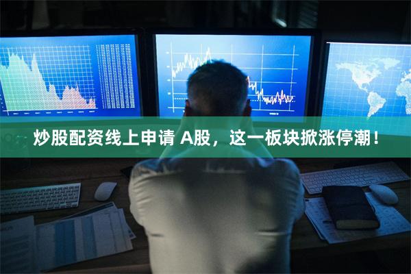 炒股配资线上申请 A股，这一板块掀涨停潮！